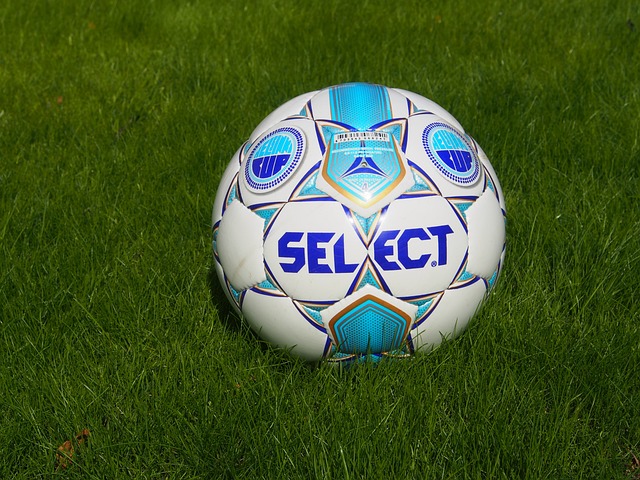 阳队的战绩 阳队的战绩