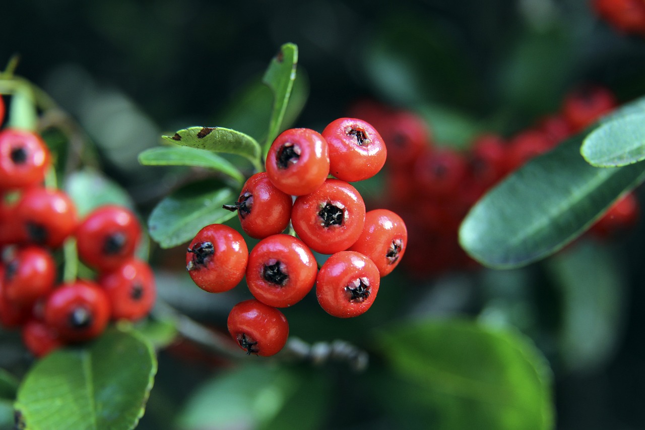 在这场与火 在这场与火