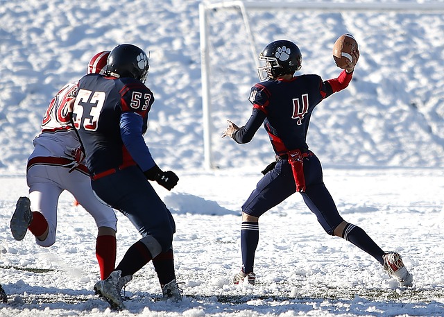 在温格的调 在温格的调